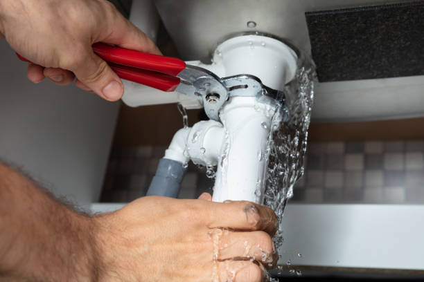 Best Local water damage restoration  in Sierra Vista, AZ