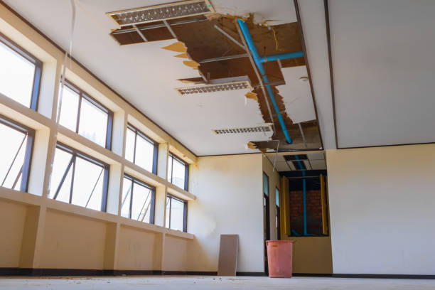 Best Flooded house restoration  in Sierra Vista, AZ