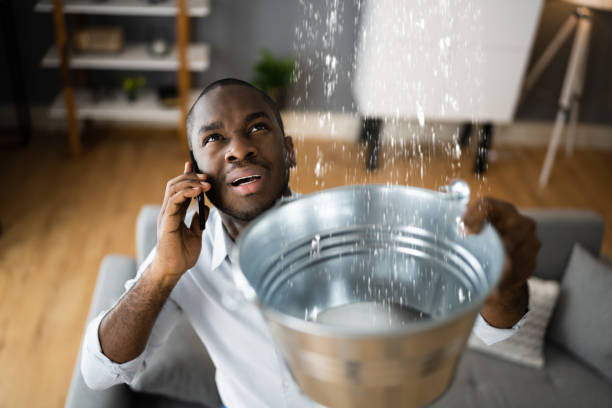Best Mold removal after water damage  in Sierra Vista, AZ