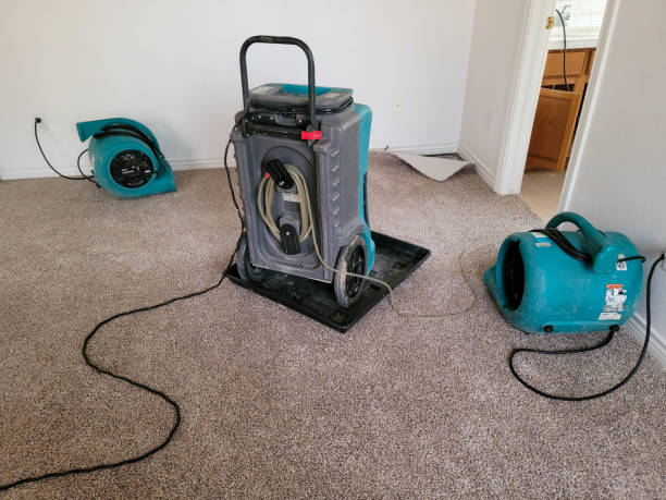  Sierra Vista, AZ Water damage restoration Pros