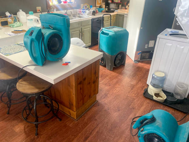 Best Water damage restoration experts  in Sierra Vista, AZ