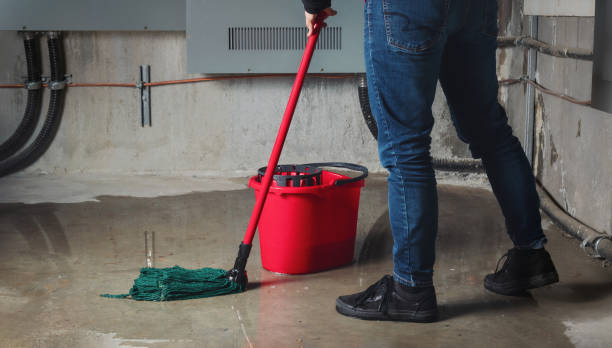 Best Professional water damage repair  in Sierra Vista, AZ