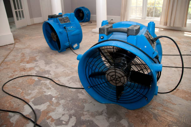 Best Flood damage cleanup  in Sierra Vista, AZ