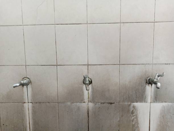 Reliable Sierra Vista, AZ Water damage restoration Solutions