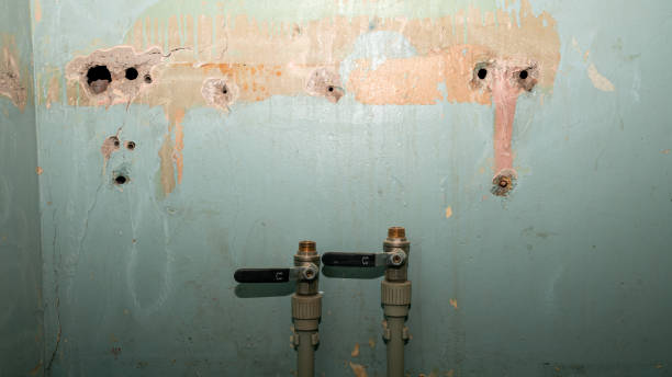 Best Water damage restoration specialists  in Sierra Vista, AZ