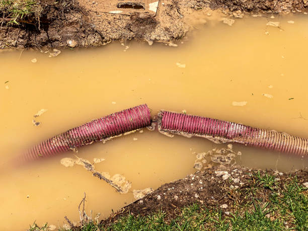 Trusted Sierra Vista, AZ Water damage restoration Experts