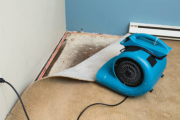 Best Sewage cleanup and water damage restoration  in Sierra Vista, AZ